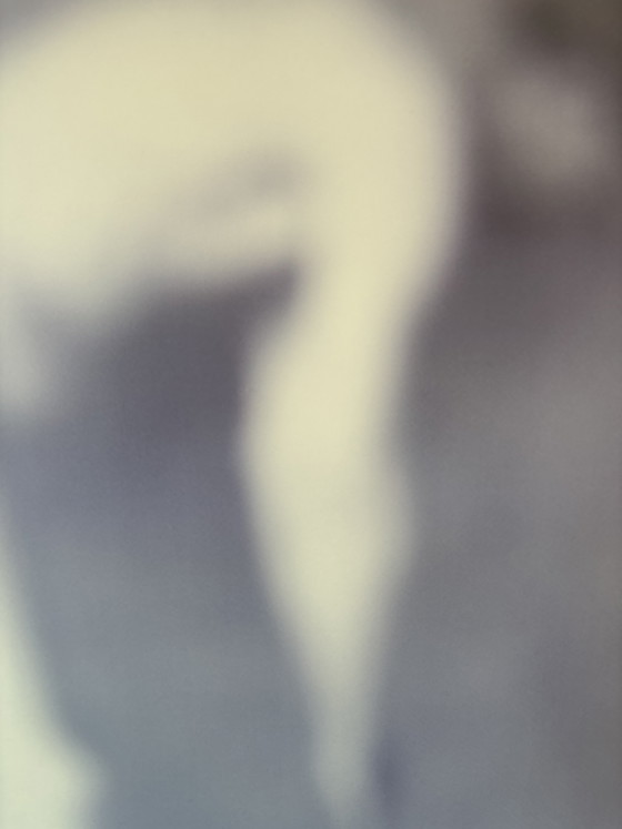 Obra de arte híbrida de 2004, de Trees De Mits. – Fotografías, Aluminium (photo 3 of 5)