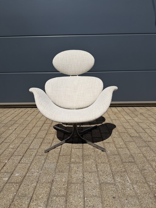 Artifort Big Tulip 1ste éditie P. Paulin Beige/écru Bouclé