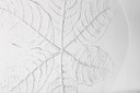 Large Kosta Boda Glass Cheese Platter: Vintage Leaf Design by Wärff / 1975