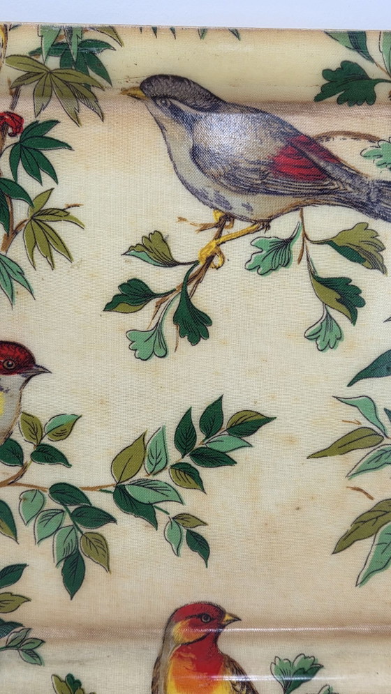 Vintage dienblad met exotische vogeldecoratie, 40 × 30 cm, Keukenaccessoires, Anders, Meerdere kleuren (foto 5 van 7)