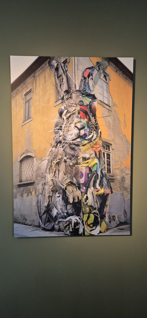 Fotografie d'arte Bordalo II Rabbit Konijn su Forex 120x80