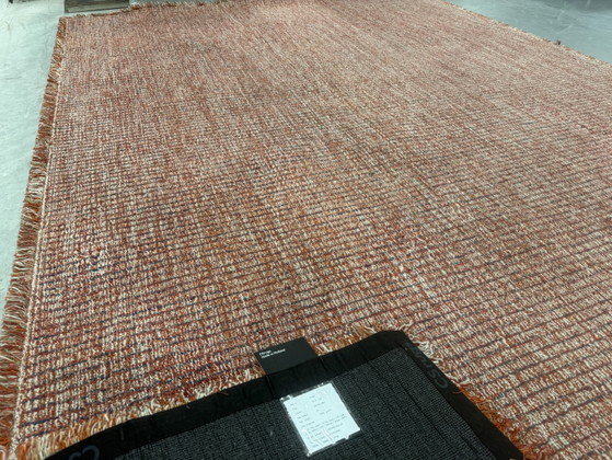 CSrugs Tweet Tappeto Rosso 220x320, CS Rugs, Tappeti, Altro, Multicolore (foto 7 di 13)