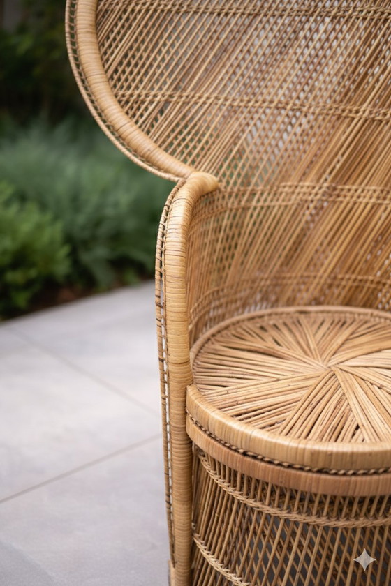 Image 1 of Silla de pavo real