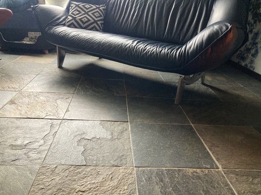 Leolux Tango 2+ 3-Sitzer-Sofa blau und Sessel rot