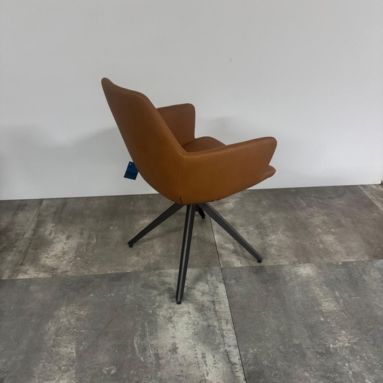 Image 1 of Maple 3.0  set van 4