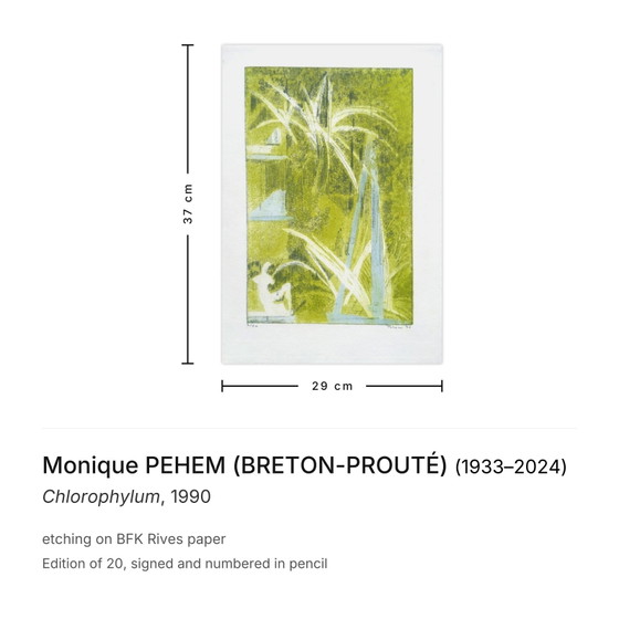 Monique PEHEM (BRETON-PROUTÉ) Signed Etching Chlorophylum 1990 – Lithographs & prints, Paper (photo 3 of 5)