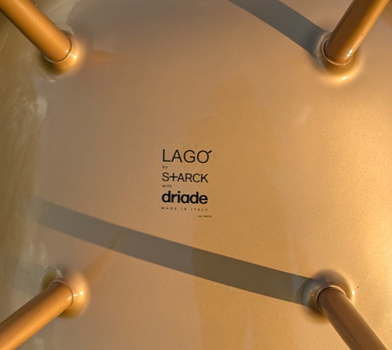 Image 1 of Goudkleurige Lago di Starck stoelen - set coordinato da 6