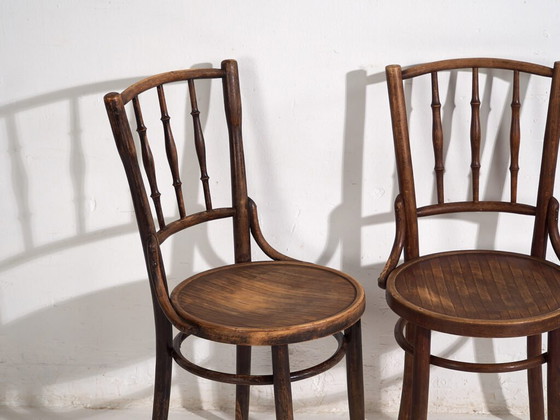 Antique bentwood dining chairs (c.1920). Set of 6 pieces #2 (photo 26 of 40)
