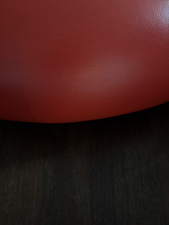 Leolux Pallone e Puppy Pallone – Poltrone, Leather, Chrome (photo 4 of 5)