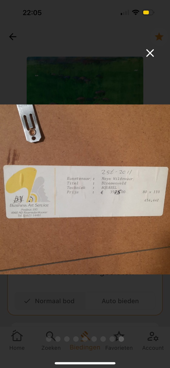 Image 1 of Maya Wildevuur - aquarelle - 91x110 cm - Champ de fleurs