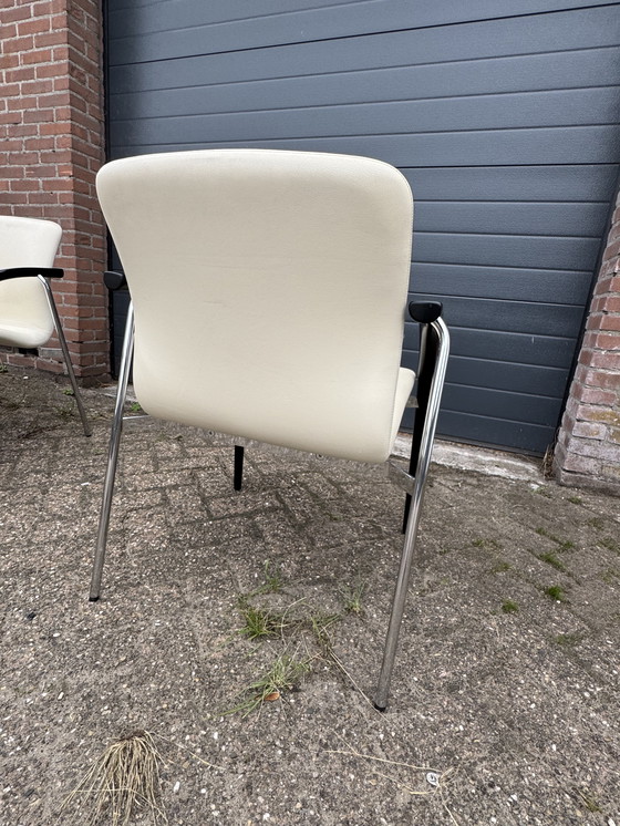 Image 1 of 4 Esszimmerstühle aus Leder Team by Wellis Farbe Beige/Schwarz neuwertig.