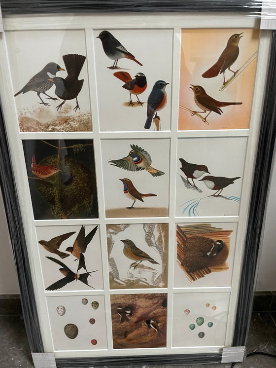 Image 1 of Cornici con uccelli