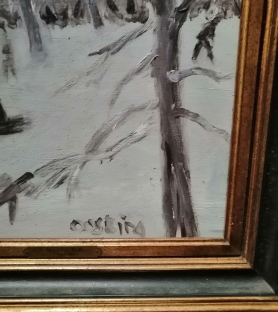 Image 1 of Oosterpark in inverno