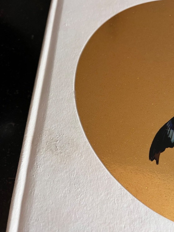 Image 1 of GUCCI Gift Catalogue 2017 (Illustrations by Ignasi Monreal)