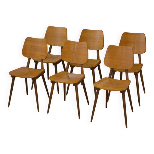 Set di 6 sedie in rovere degli anni '60.