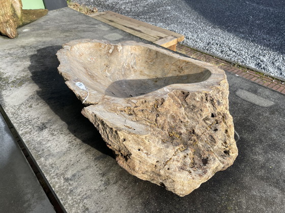 Image 1 of Unieke badkamer waskom petrified wood. 
