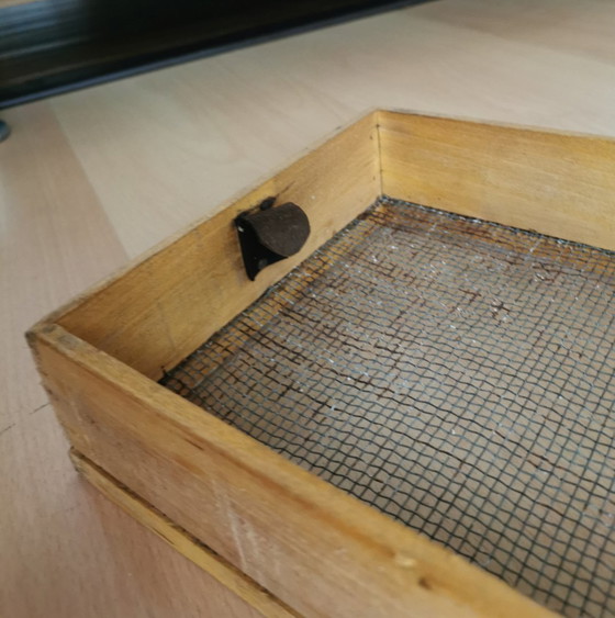 Image 1 of BOÎTE SÉCHOIR À TABAC MODERNISTE - ANNÉE 1897