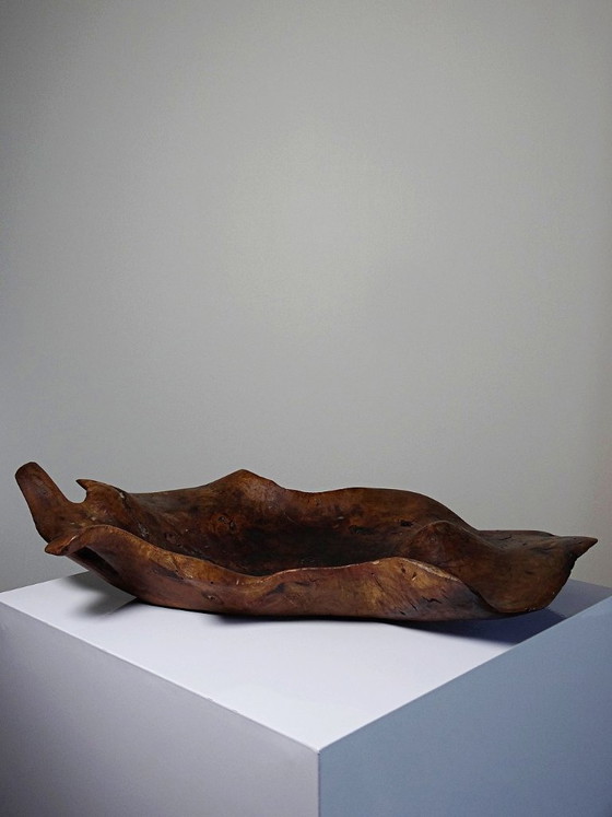 Image 1 of Grande coupe monoxyle en bois brut d'olivier foncé années 50
