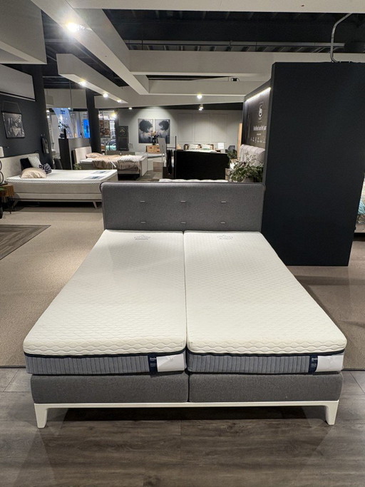 Auping Boxspring Criade Hellgrau – bedden