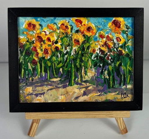 Sunflowers Grow in the Field