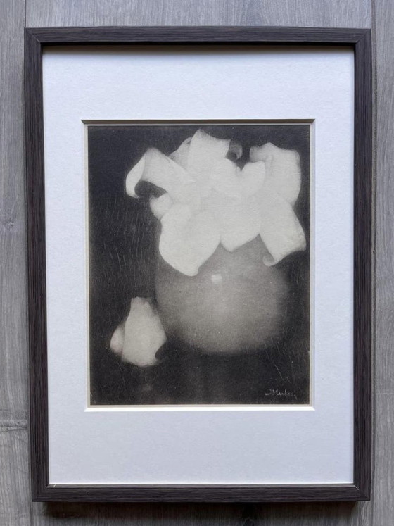 Image 1 of Jan Mankes 1889-1920 / Héliogravure originale Lys Calla 1923