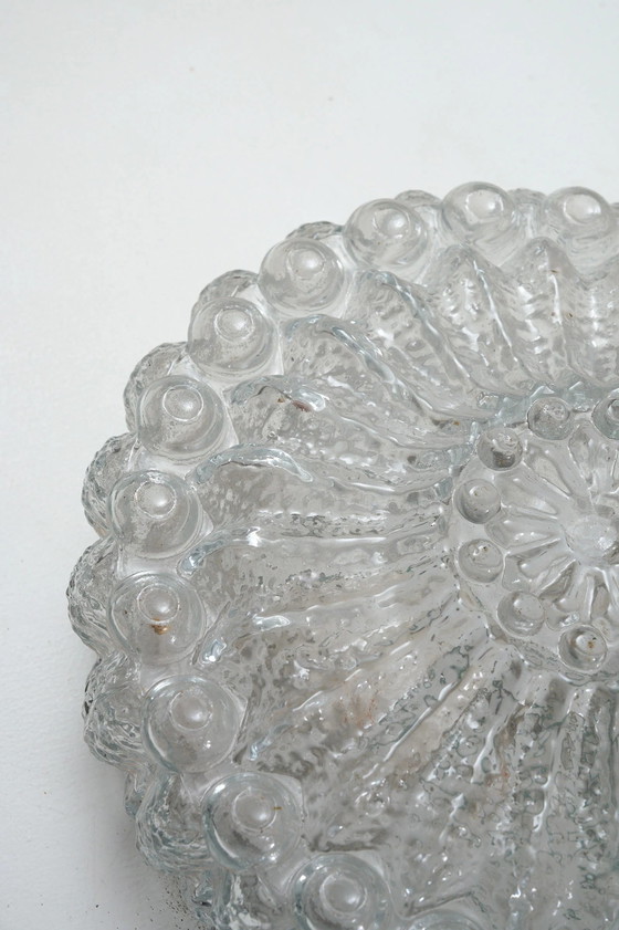 Molded Bubble Glass Flush Mount Ceiling Light, Metal (photo 2 of 8)