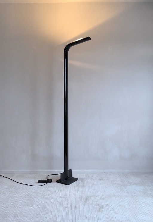 Magnificent ''Orchidéa'' Design Floor Lamp by Gianfranco Frattini for Relco