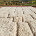 Tappeto berbero marocchino in lana naturale, 250 cm x 250 cm
