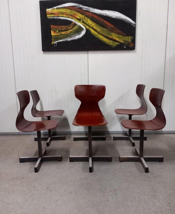 Image 1 of Set van 6 Pagholz stoelen in mid-century modern stijl, met gevormde multiplex zittingen en stalen onderstel, jaren 60.
