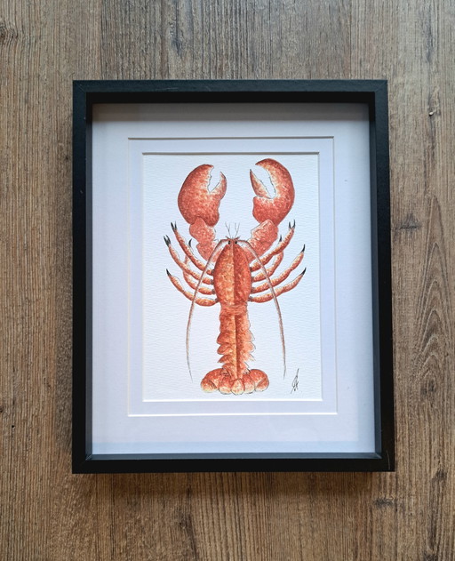 Peinture aquarelle originale homard | Cadre inclus