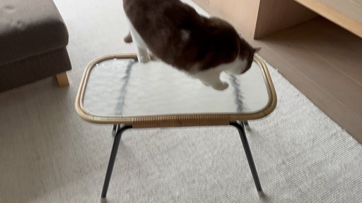 Salontafel Rohe Noordwolde jaren 50