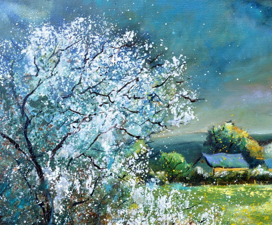 Image 1 of Primavera nella mia campagna