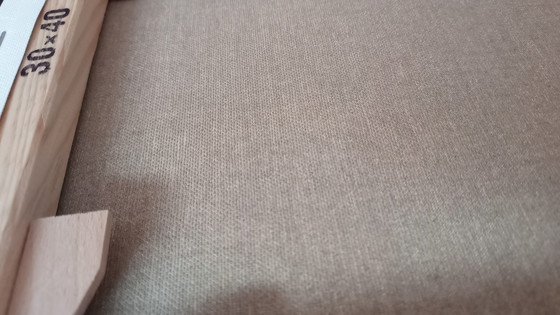 Image 1 of Tineke Van Steenbergen Rose rosa a Van Gogh