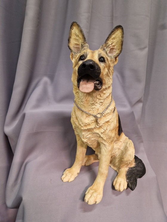 Image 1 of Cane da pastore del focolare