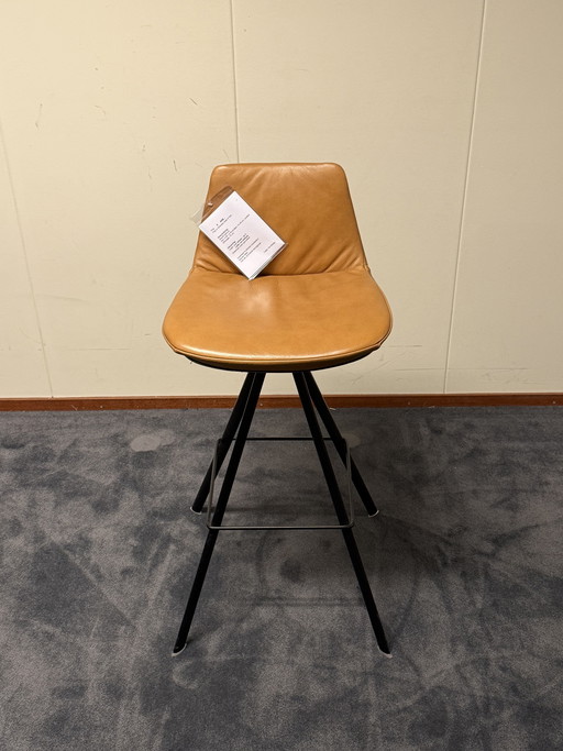 Lo sceriffo Barkruk ha progettato