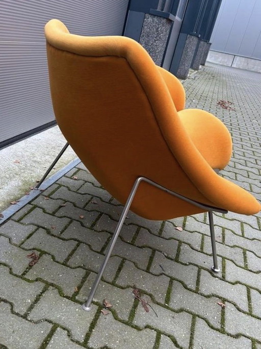 Splendida poltrona Artifort Oyster appena rivestita.