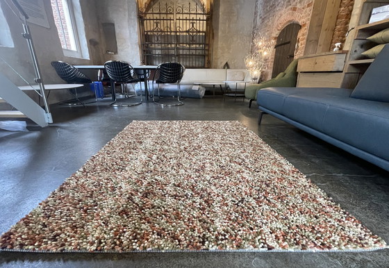 Image 1 of Brink and Campman Dots Pumpkin carpet