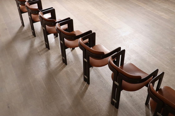 Image 1 of Chaises Pamplona d'Augusto Savini pour Pozzi, Italie, années 1960, ensemble de 8