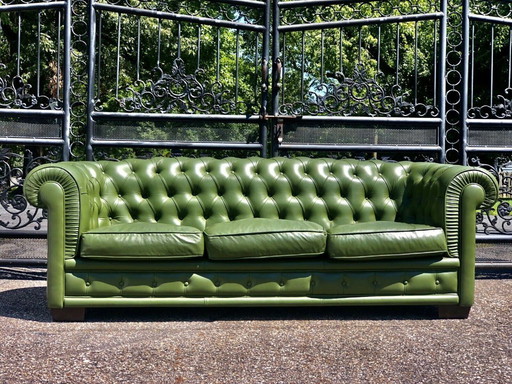 Chesterfield Olive Grün getuftetes Sofa