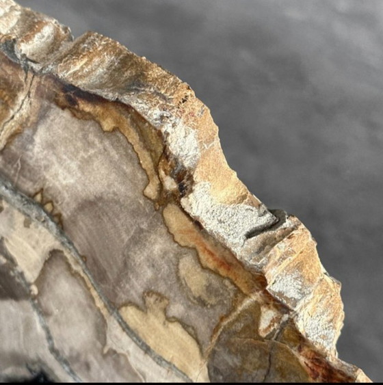 Image 1 of Bois fossilisé de Sooka, fabrication sur mesure standard (neuf)