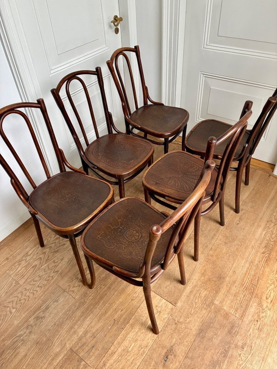 Image 1 of 6 sillas Thonet n.º 56