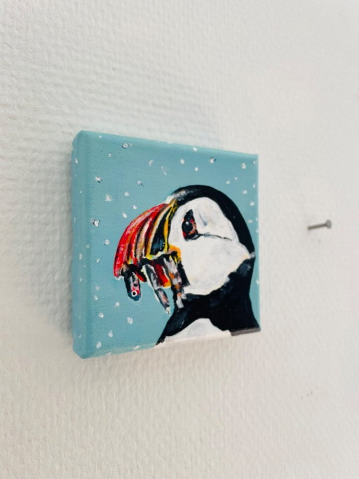 portrait of a puffin
