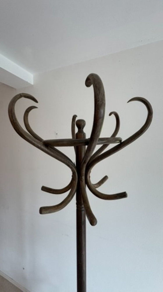 Appendiabiti da terra Thonet vintage – Legno (photo 4 of 8)