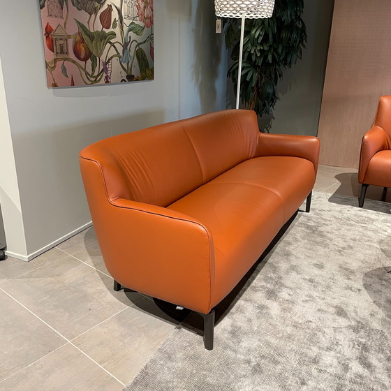 Image 1 of Évidence Santosa 3-seater sofa