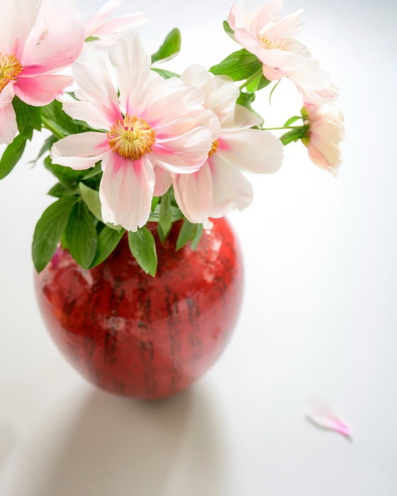 Image 1 of Floor Vase Ceramic – Gerda Heuckerroth for Carstens Tönnieshof, 1960s–1970s