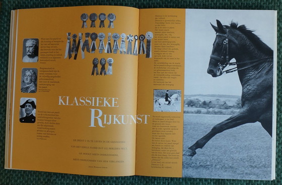 Image 1 of Ein Königreich für ein Pferd