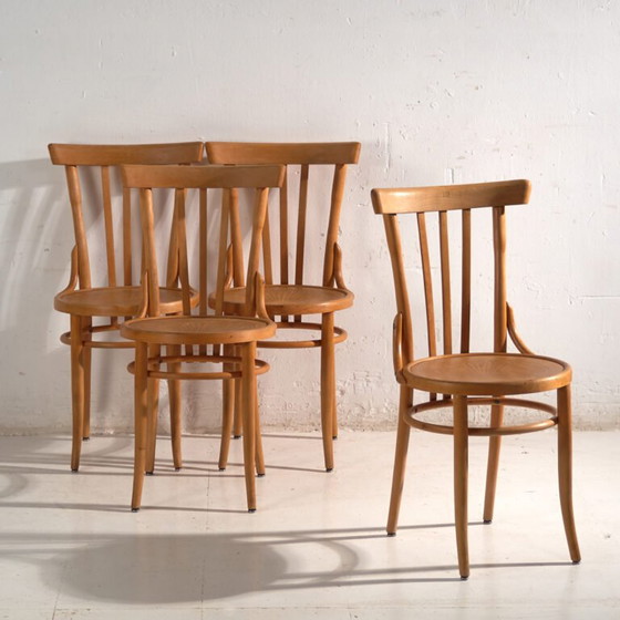 Antique chairs in Thonet style bentwood – Central Europe, circa 1930 #1 – Dining chairs (photo 7 of 40)