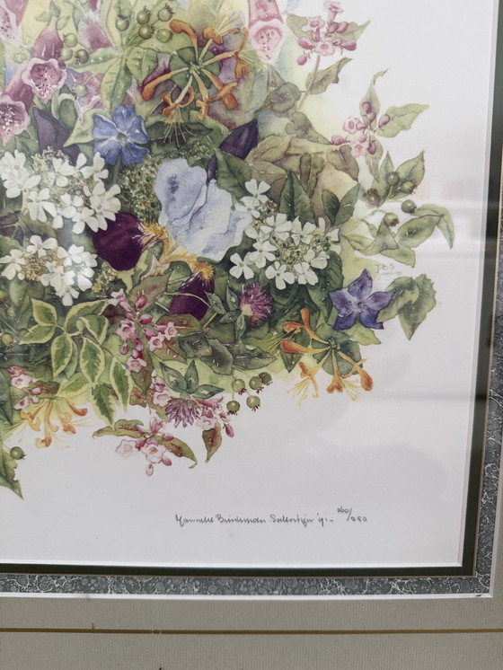 Image 1 of Janneke Brinkman Salentijn Prints - Numérotés et signés