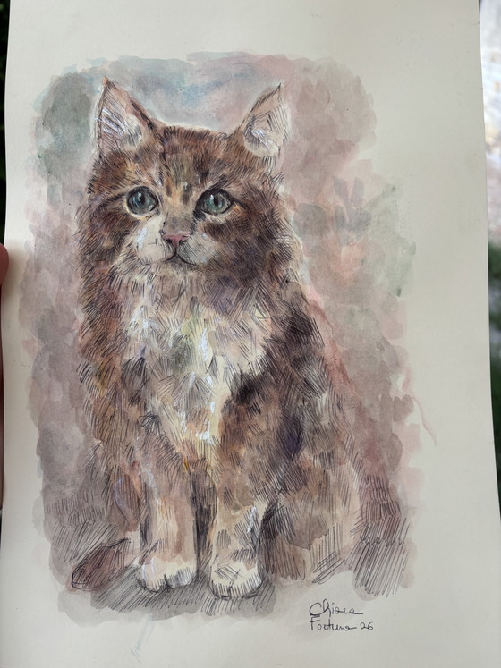 Watercolor Mixed Media Cat Drawing – Paintings & Drawings, Paper (photo 5 of 7)