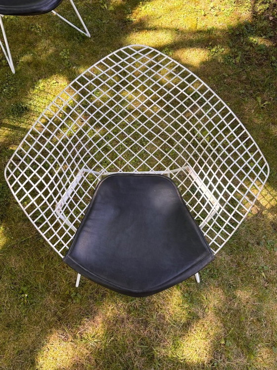 Image 1 of Bertoia Diamond fauteuil, Knoll-editie, ontwerp van Harry Bertoia, vintage jaren 70-80